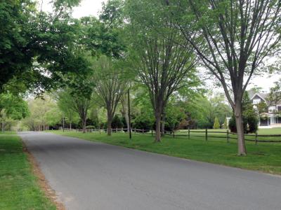 Lee Avenue in East Hampton Village is representative of a classic East Hampton Village style and sense of place that officials would like to see preserved.