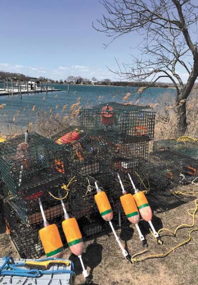 Though they had been collecting weeds over the past nine years, after some repair work earlier this month, these lobster pots were ready to be put to use at long last.