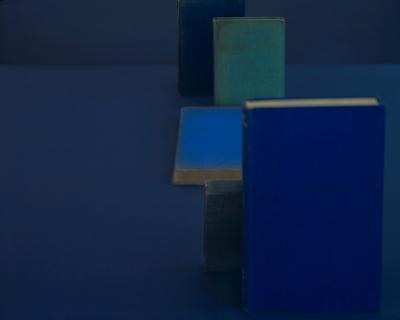 "Diebenkorn Blues" from Mary Ellen Bartley's series "Blue Books" is on view at Guild Hall beginning Saturday.