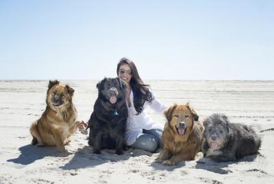 Michele Montak, the founder of Gimme Shelter, with her rescue dogs Otis, Lulu, Breaker, and Donni