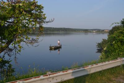 The State Department of Environmental Conservation reported a persistent bloom of cyanobacteria, or blue-green algae, in Fort Pond and has cautioned against swimming or wading in it.