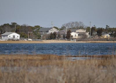 East Hampton Town residents will be able to grow oysters in a portion of Napeague Harbor, in a program run by the town shellfish hatchery.