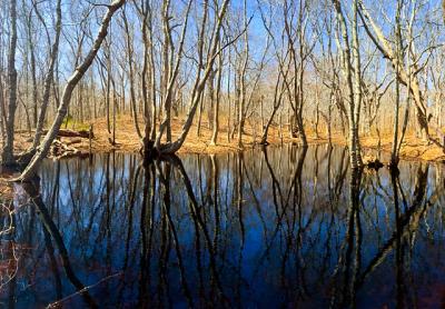 Most of the East End’s bowl-shaped ponds are kettlehole ponds, formed by large chunks of ice that made depressions in the land during the retreat of the glaciers that created Long Island.