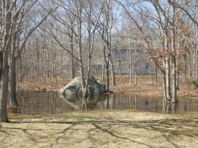 Stephen Talkhouse Park glacial erratic after a rain