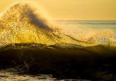 After seeing Dell Cullum’s photographs of waves as they crest and break on shore, you’ll never look at a wave the same way again, The Star’s “Nature Notes” columnist writes.