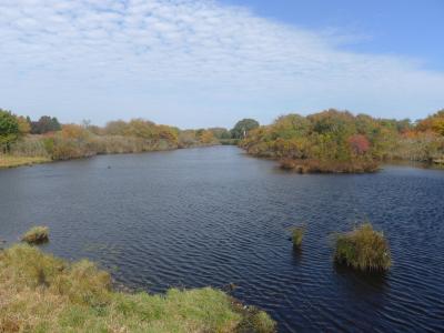 Officials of the Maidstone Club told the East Hampton Village Zoning Board of Appeals that a wood bridge across Hook Pond was essential to the safety of golfers, pedestrians, cyclists, and motorists on Dunemere Lane.