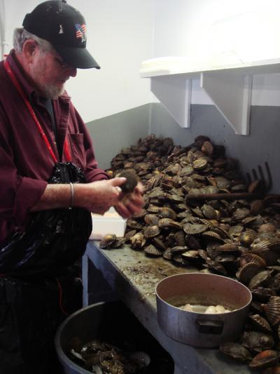 Scallop season opened in state waters on Nov. 3 and will open in East Hampton Town waters on Monday. Above, a shucker at work on the 2012 harvest.