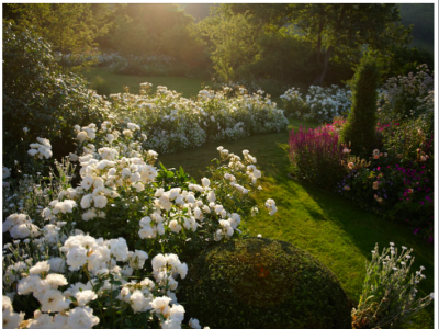 A Jinny Blom garden