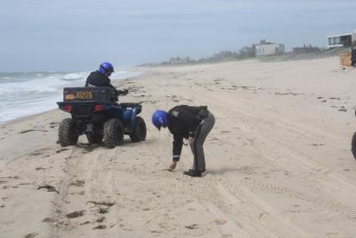 Police searched the beach near Town Line Road for wreckage from the plane Sunday morning.