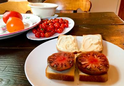 Tomato sandwiches are about tomatoes, bread, and mayonnaise, period.