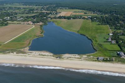 People are being warned to avoid contact with the water of Wainscott Pond after sampling by Stony Brook University confirmed a cyanobacteria bloom there.