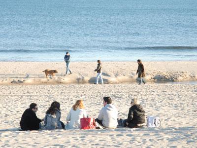 From mid-May through September dogs will have to be leashed at East Hampton Village beaches until they are at least 300 feet away from parking lots and road ends.