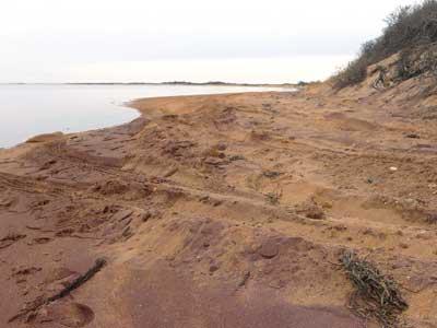 Napeague Harbor shoreline