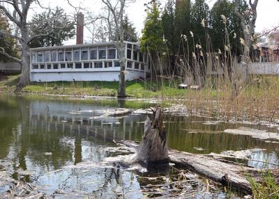 Georgica Pond's headwaters near Osteria Salina in Wainscott earlier this spring. The presence of cyanobacteria, which can have harmful health affects in both humans and animals, led to the closing of the pond on Friday.