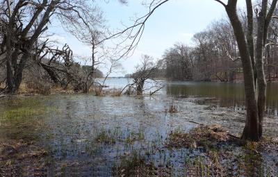 Georgica Pond near Montauk Highway in East Hampton