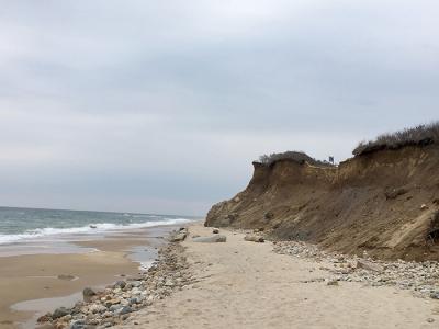 Erosion has carved into the trail in Rheinstein Park, just west of Ditch Plain and has caused significant damage to the bluff trail at Shadmoor, just west of that.