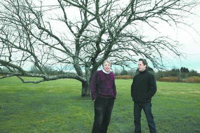 Peter Zablotsky and Joshua Perl, co-founders of HITFest, stood by a tree in the field where their production of "A Midsummer's Night Dream" will take place next summer.