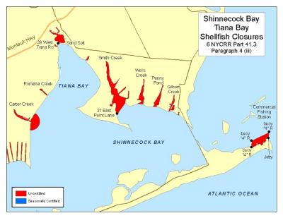 New York State reopened portions of Shinnecock Bay to shellfishing on Friday after a two-week closure.