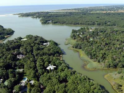 Late last week, levels of blue-green algae in Georgica Pond exceeded 100 micrograms per liter, according to Christopher Gobler of Stony Brook University, who has led a water-monitoring program of trustee-managed waters in conjunction with the trustees for the last three years.