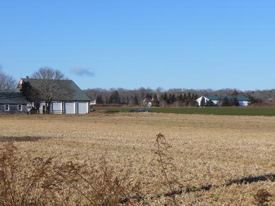 A portion of Wainscott farmland for which a deal has been struck to assure that it is planted with food crops in perpetuity.