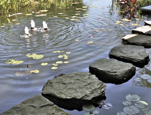 Stepping stones make feeding the koi fun; lily pads and small fountains please the eye.