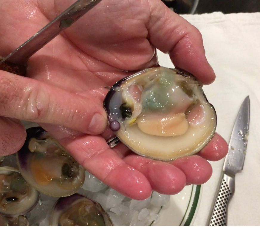 Clam Opens to Reveal Rare Purple Pearl 