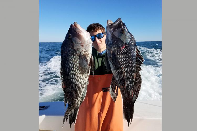 The black sea bass season finally opened on Sunday for New York State anglers. 	