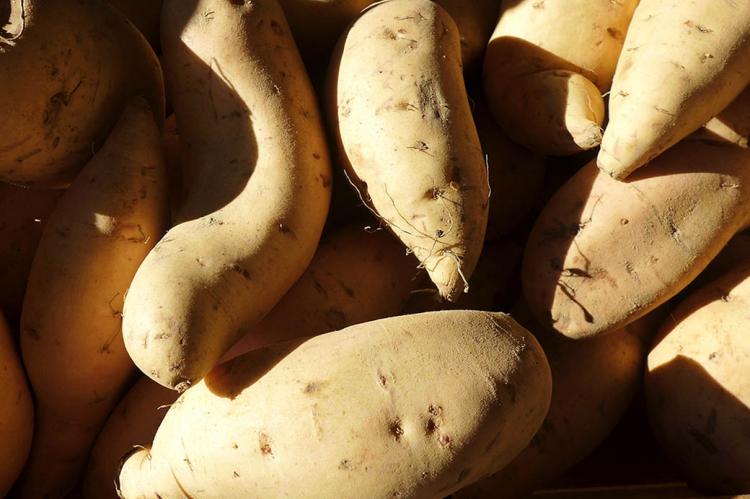 Potatoes at Amber Waves Farm Market in Amagansett