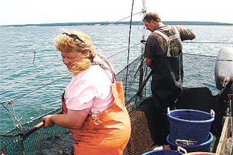 Shortly after being arraigned for alleged fishing infractions a week ago, Kelly Lester and Paul Lester tended their pound traps off Napeague.