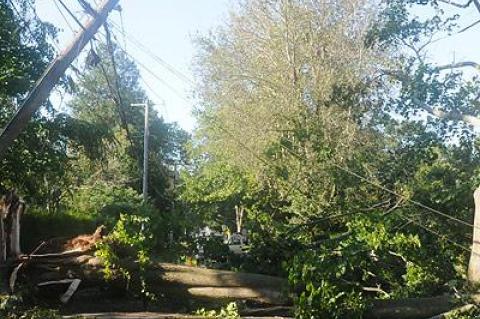 High winds brought trees down, which brought power lines down, which meant long outages for some.