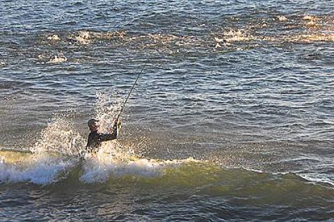 If not unprecedented, the vast numbers of striped bass that visited the waters around Montauk Point for the past week have not been seen for many years.