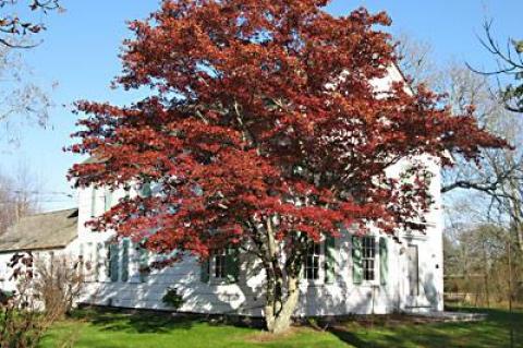 The 1792 Stephen Sherrill house in East Hampton has been suggested as a site for public purchase and use as a “history center.”