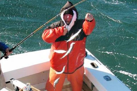 You know it’s almost Thanksgiving when the herring begin to bite just outside the Montauk Harbor Inlet.