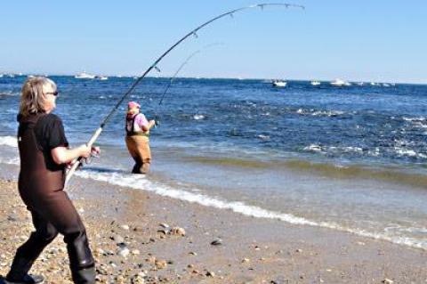 The ruffled water close to the beach in Montauk held thousands of striped bass earlier in the fall, but while ruffled water and bent rods were a common scene throughout October, they have not been seen since.