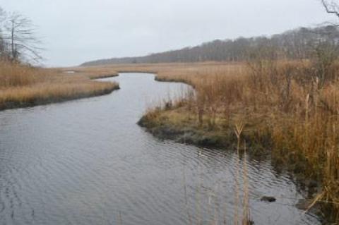 The Old Sag Harbor Road once crossed a bridge over a narrowed portion of Little Northwest Creek. Post ends visible in the water may be the remains of the span.