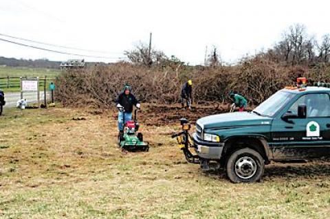 State park workers joined with town employees and members of the East Hampton Trails Preservation Society this week to repair old trails and blaze new ones at the Amsterdam Beach Preserve in Montauk.