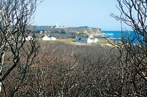 A new trail system winds through Montauk’s Amsterdam Beach Preserve and reaches the Atlantic Ocean in dramatic fashion.