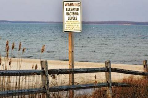 Much needed, and long awaited, environmental remediation for Havens Beach has been approved by the village board.