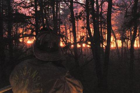 Fire departments from across Suffolk received invaluable experience from the April brush fires in Manorville and Ridge.