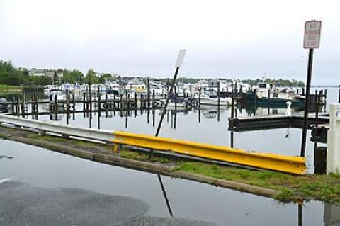 Runoff with high nitrogen levels is part of the reason for a ban on shellfish enacted in Sag Harbor Cove.