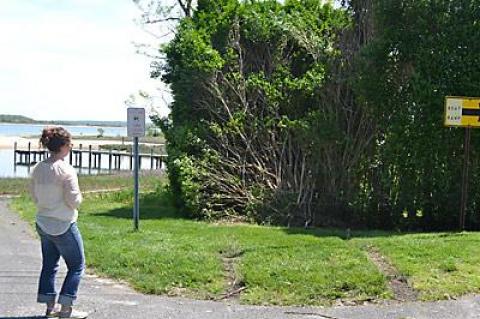 A one-man alleged crime wave ended with a crash in this bucolic waterside stand of boxwoods on Shelter Island.