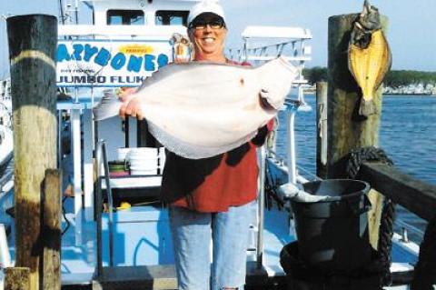 Kathy Vegessi strained her biceps to hold up the 8.5-pound fluke she caught during a busman’s holiday aboard the Lazy Bones party boat on Sunday. Her husband, the Bones’s captain, Mike Vegessi, has been finding the big ones.