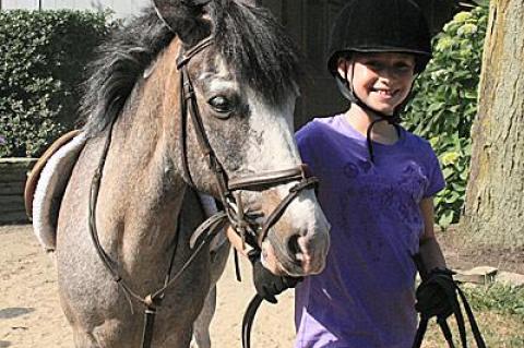 Lara Lowlicht led Wizard, her horse for the summer, out to Stony Hill’s short-stirrup ring Tuesday morning.