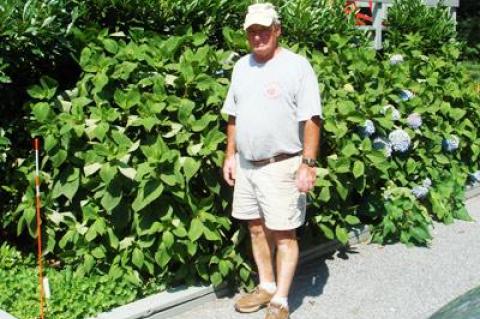 On Tuesday, Tony Minardi stood beside plants saved from the jaws of deer by a spray he has invented, and will soon be marketing.