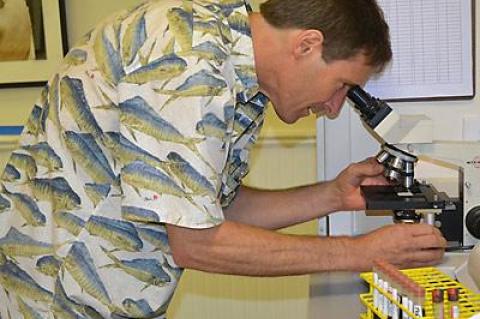 Dr. George Dempsey examined cells under a microscope last month in his East Hampton office. He has indicated a need for more participants in an international study on tick-related diseases.