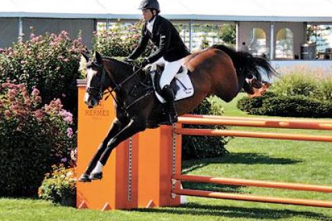 Shane Sweetnam and Cyklon 1083 won Sunday’s speed class despite having a rail down.