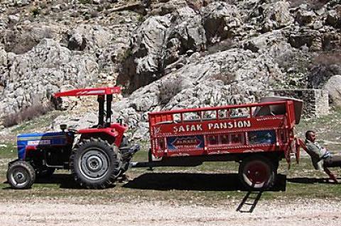 There were no roads so the botanists hired a tractor in the Taurus Mountains of Turkey. The driver is seen taking a break in the Emily Valley.