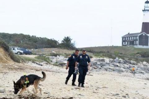 The dogs, sometimes called biosensor dogs, are trained to find the living and the dead. On Tuesday, they were used going from Turtle Cove at Montauk Point.