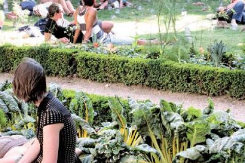 Yellow chard seems to be in every garden, even a vest-pocket park in the Marais.