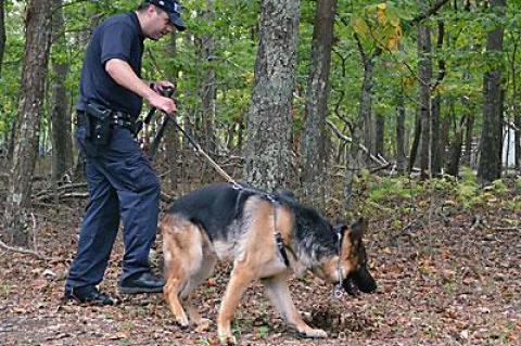 A report of a stolen iPhone led police on a manhunt in Springs last Thursday. O’Reilly, a German shepherd, searched with State Trooper Kevin Drew.